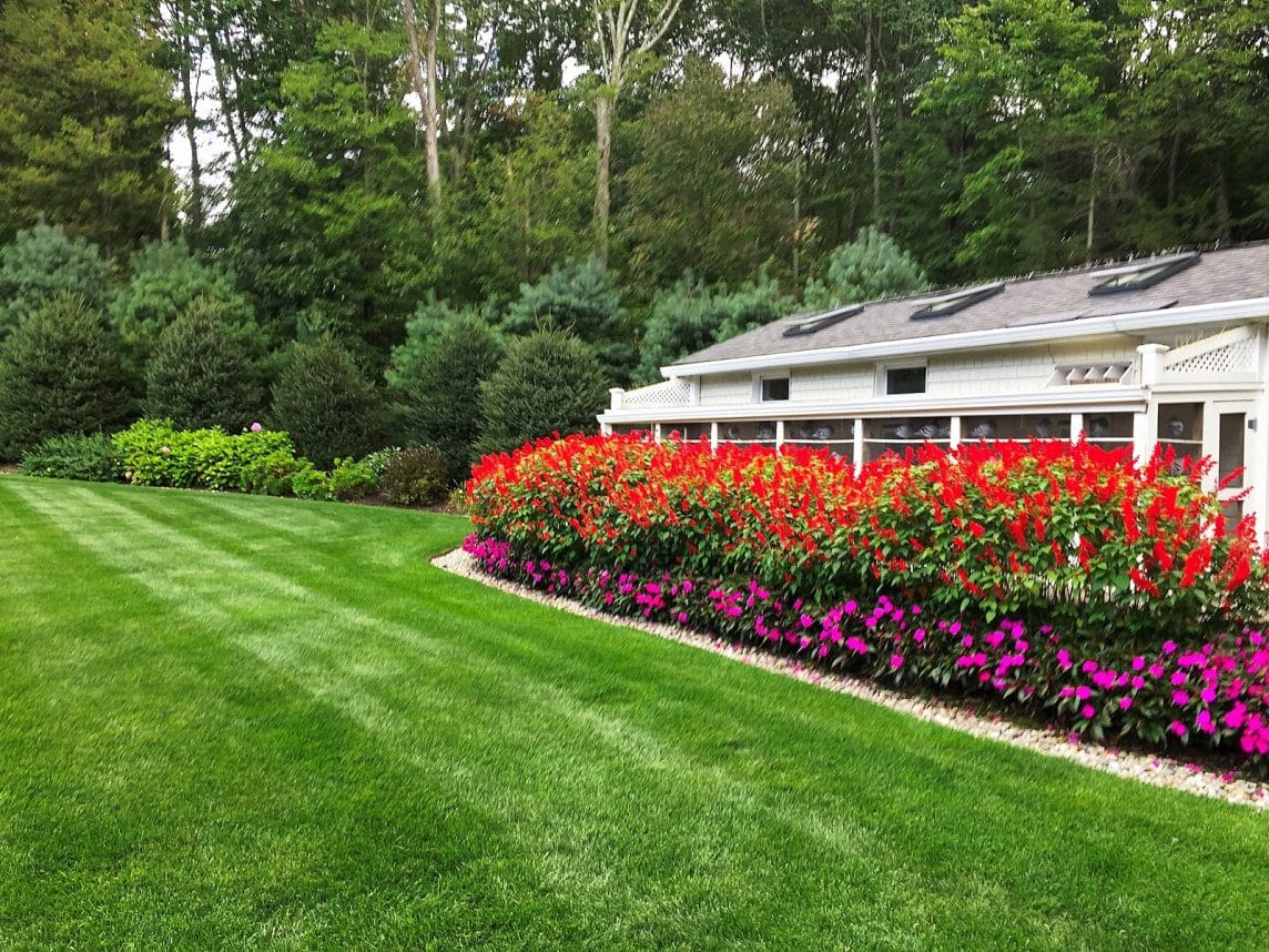 Hire a lawn aerator contractor in early spring