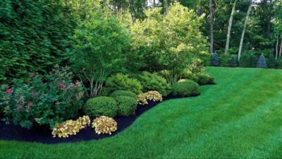 applying weed killer around flourishing plants and trees