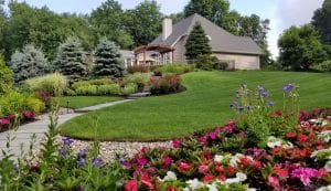 Healthy Lawn Westchester NY