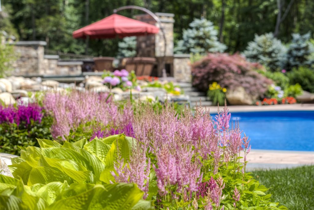 5 Key Features To Freshen Up Your Pool Landscape For Outdoor Activities