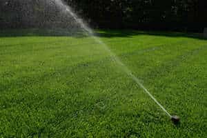 Watering the Lawn