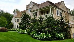 Westchester Landscape on how to keep weeds out of lawn