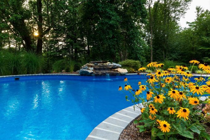 Inground Pool and Bright Yellow Flowers