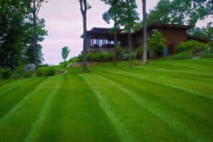 Mowed Lawn Around Home 