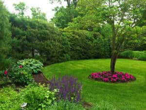 Beautiful Landscape With Flower Beds and Hedges