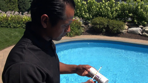 Pool Professional Holding pH Test Strips