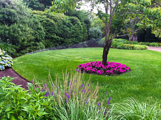 Water Irrigation Tips That Help Prevent Lawn Burn Out | Neave