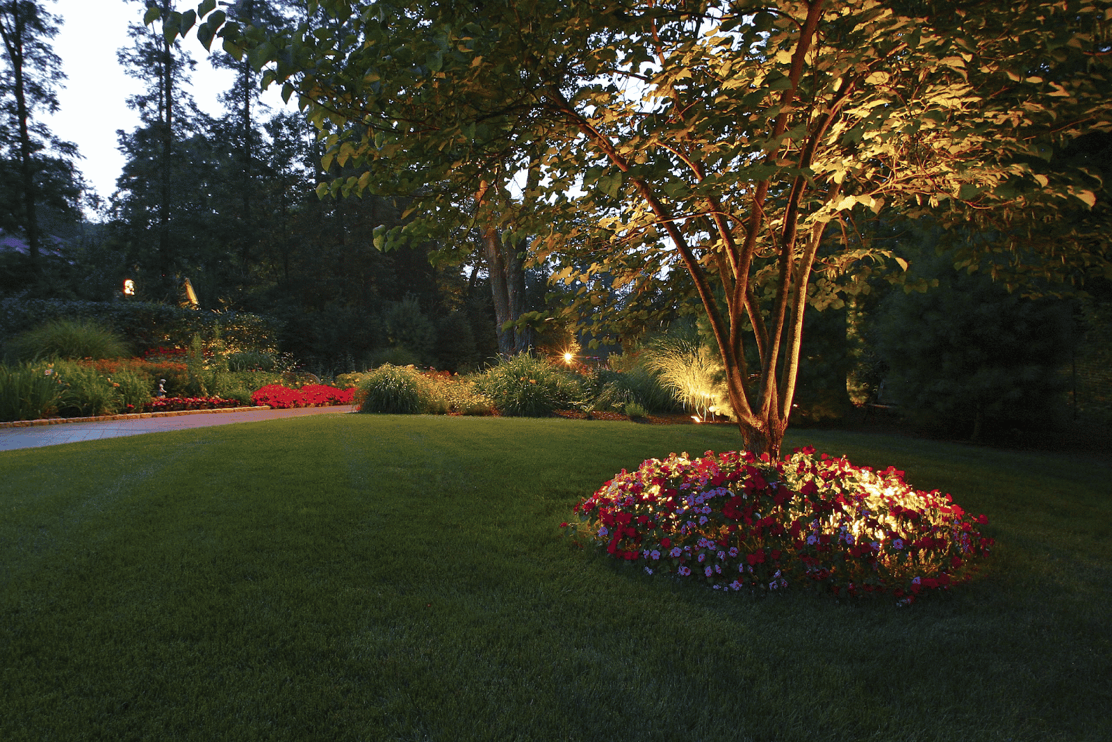Evening view of illuminated tree surrounded by flowers