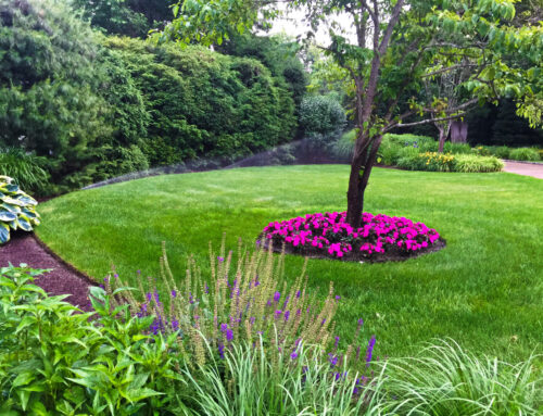 Overcoming Residential Landscaping Challenges in Fairfield County, CT with Neave Group