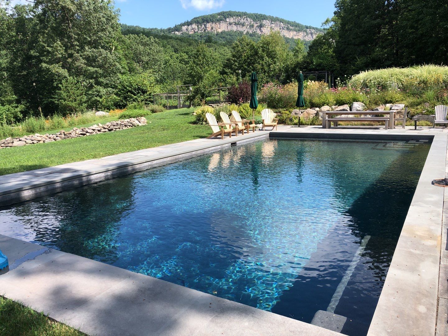 a stunning gunite pool created by Neave Group showing the difference between gunite vs vinyl pools