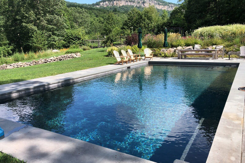 Rectangular gunite pool with clear blue water, surrounded by lush greenery and lounge chairs